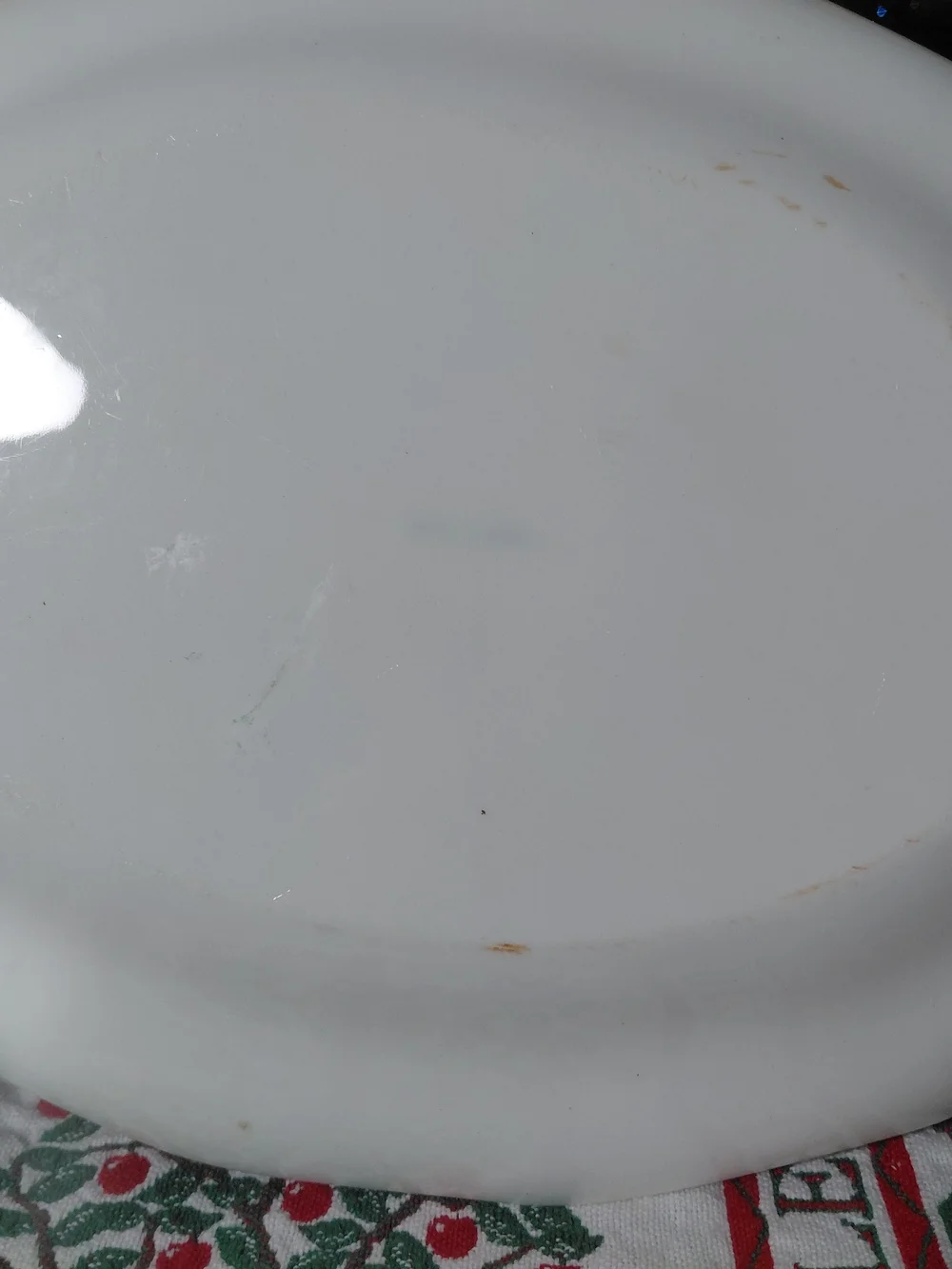 This 1924 antique S.P. Co Sebring hand-painted pheasant platter